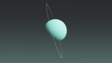 080344pu03ssmw08kztz9z.jpg