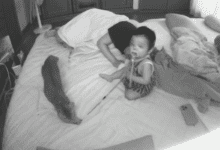 08071233xzi02xoyemi0zh.png