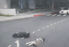 081404c2stcrcach7hmgqa.png