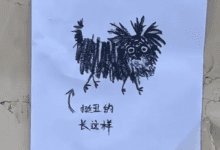 081457oyo9x9ziy3eunact.png