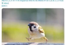 081752tnhev6dwd3snkdze.jpg