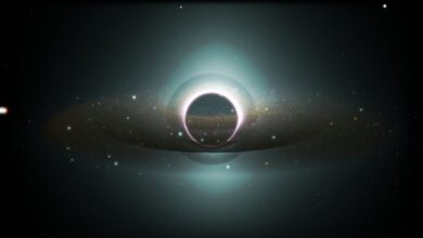 083313k6m2trrcc6nn4v2j.jpg