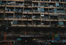 083732mn6695v5c5rmjjn9.jpg