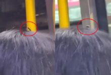 0917348pwb7kgpcxgk8gk9.jpg