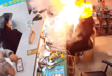 102314puaoo3po7f3p7t5q.png