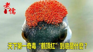103210kwwogn1koa52krer.jpg