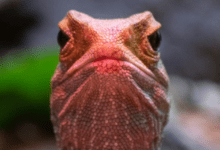 105229fmlbf72fzbym22zn.png