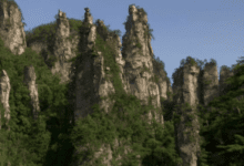 164131w060u6u0mh0n669v.png