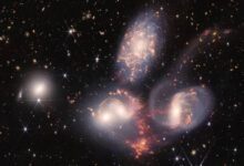 4876450_1_1.jpg