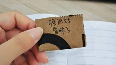 6916dd652d2121bd749fc11fc2ec0a50.jpg