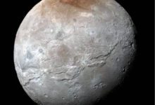 870x866_wmkn_279952470175_0.jpg