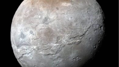 870x866_wmkn_279952470175_0.jpg