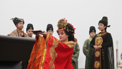 08041908399sryr9t33tpy.jpg