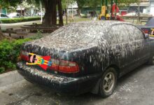 074212rb8t7rrbzmatcxzr.jpg