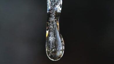081726zq6v4fx6c46f45f7.jpg