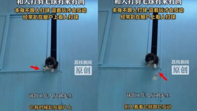 084207qauyjc3fuyx5uuyy.jpg