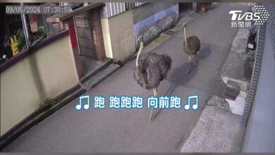 230750rpppxdh36sn3ywcp.jpg