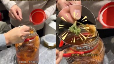 20260111002933.jpg