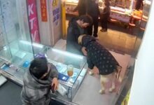 20260203003990.jpg