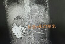20260810004335.jpg