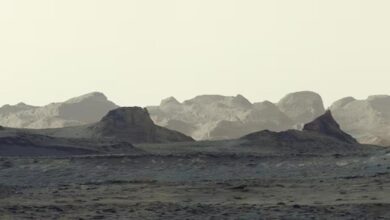 20261007004264.jpg